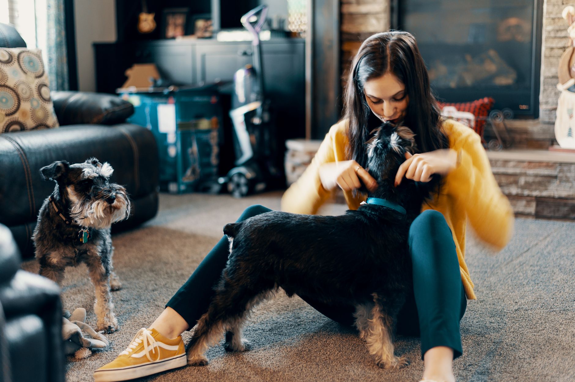 Pets Brand First Rx to Auto-Ship: Static Visual Sequenced to Translate Vet Email into Ad